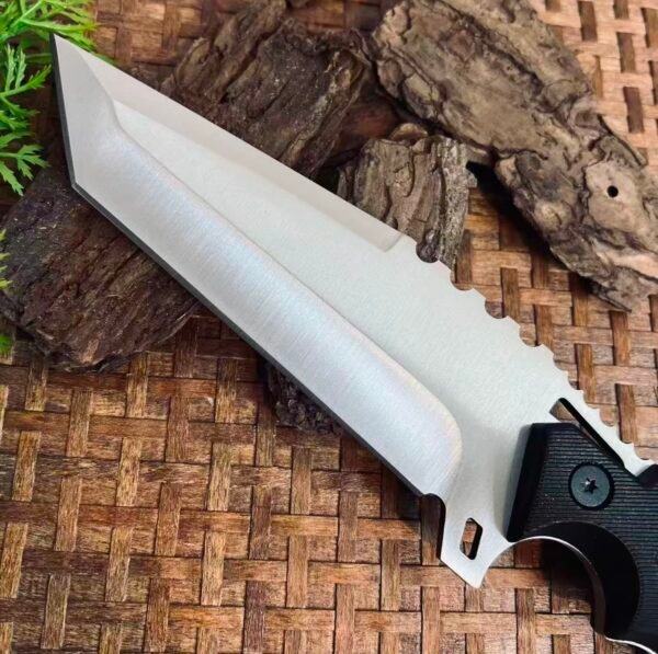 Square-headed Captain