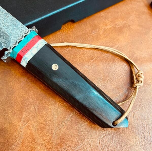 pirate collectible knife